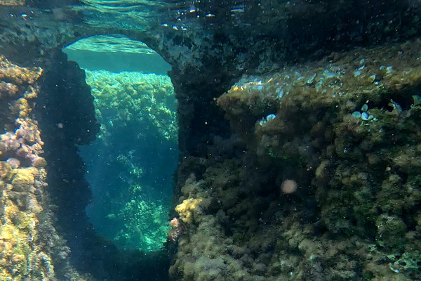 La peschiera di Sant'Irene vista sott'acqua durante lo snorkeling